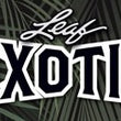 Leaf Exotic Multi-Sport 2022